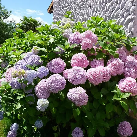 キャンプ場 Camping Colombres *