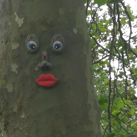 Kamp alanı Camping Colombres *