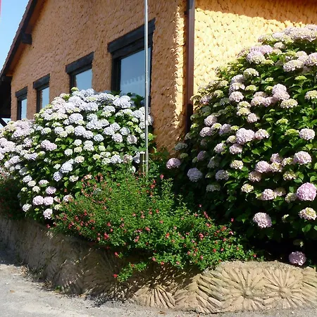 مكان تخييم Camping Colombres *