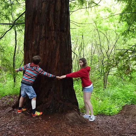 Camping Colombres مكان تخييم كولومبيريز