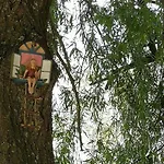 Camping Colombres Camping *
